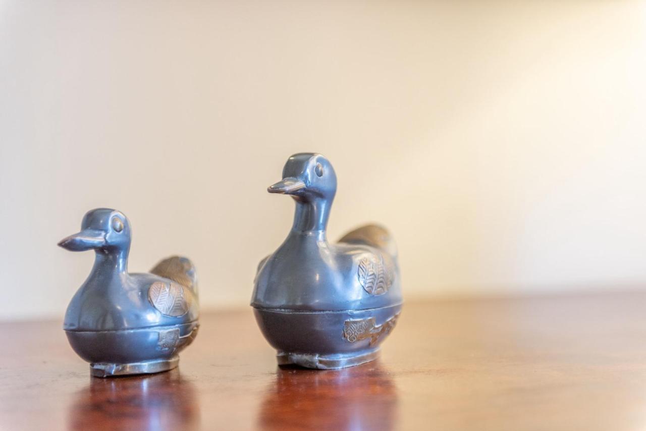 Gasthuis Son Vivot - Doble Estandar